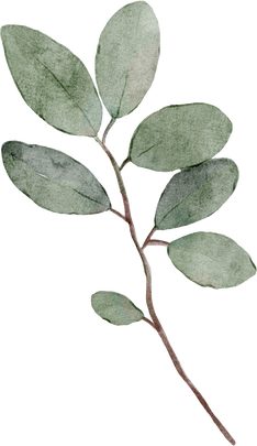 Watercolor green branch