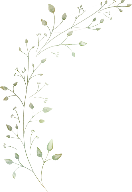 Watercolor Decorative Branch Illustration