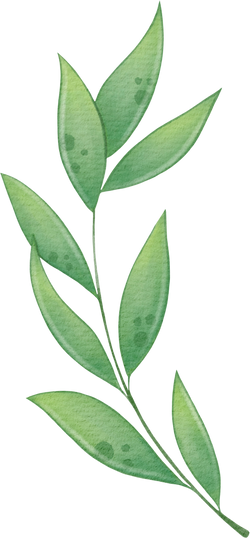 Green branch with leaves