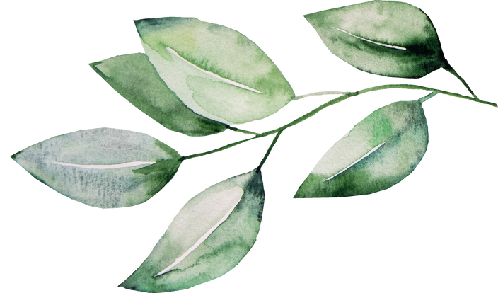 Watercolor Botanical Leaves Illustration