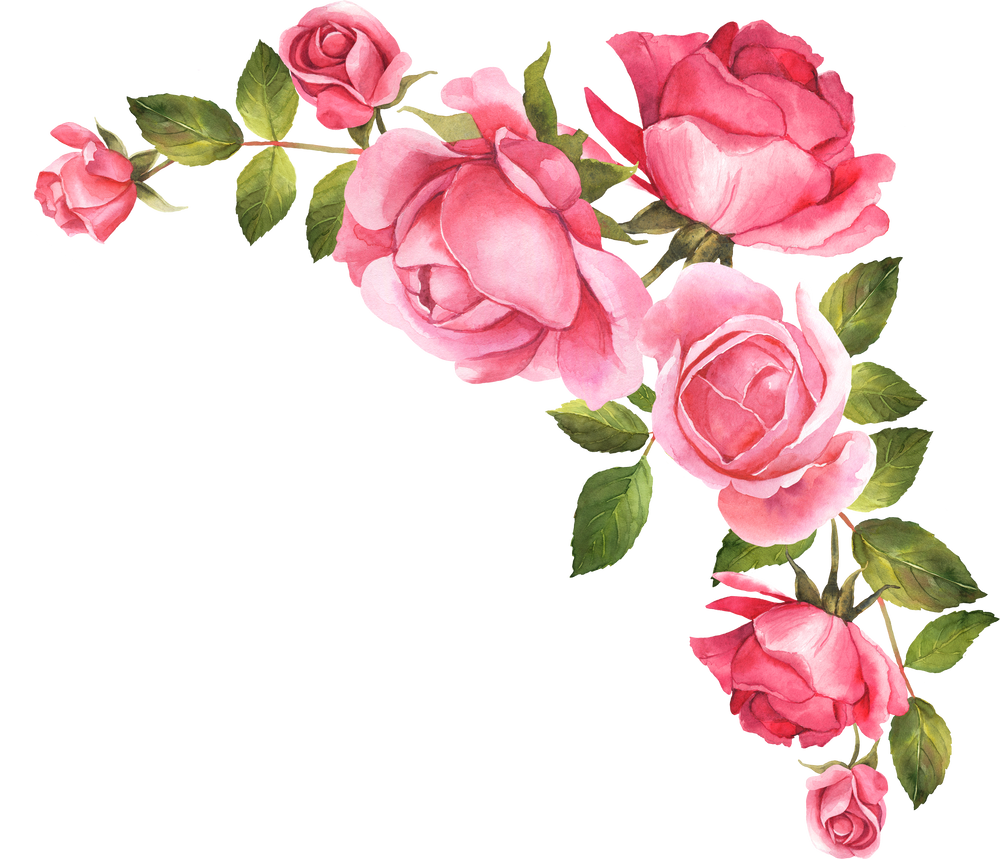 Roses Watercolor Illustration Bouquet