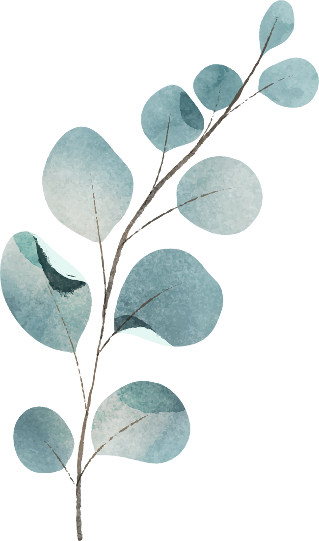 Boho style leaf illustration